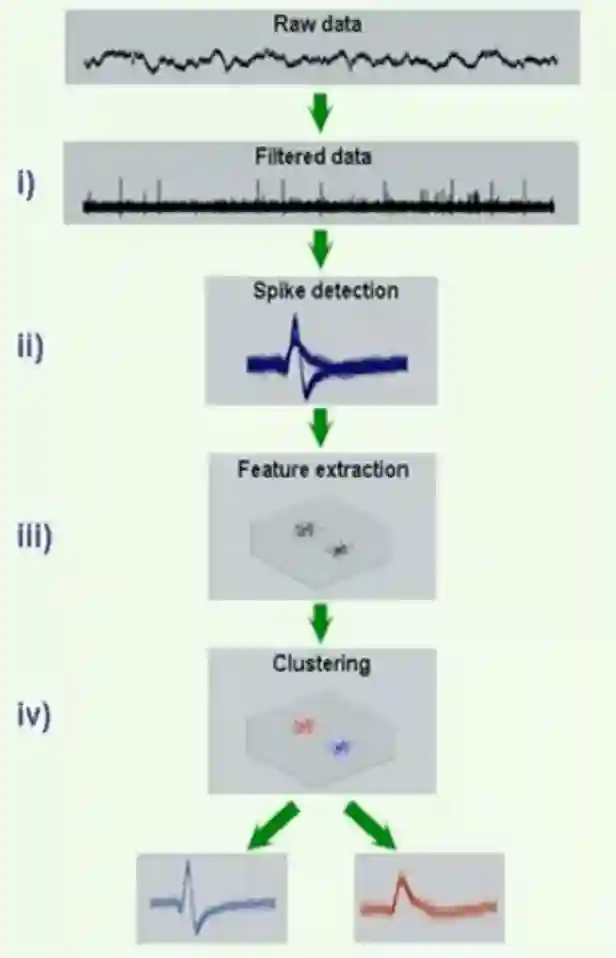 Neural Imaging-20250808172945165